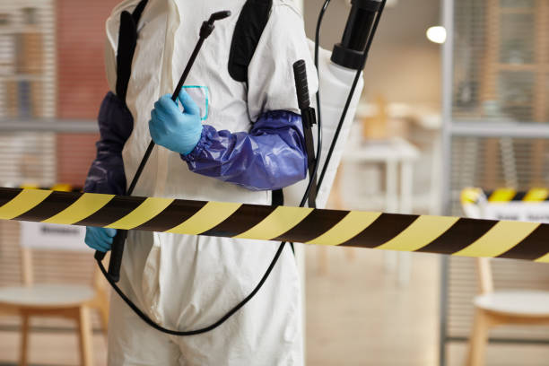 Professional Sewage Cleanup technician working in Roscoe, MN